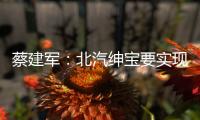 蔡建軍：北汽紳寶要實現三個“下沉”