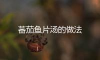 蕃茄魚片湯的做法