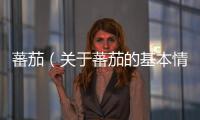 蕃茄（關于蕃茄的基本情況說明介紹）