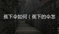 蕉下傘如何（蕉下的傘怎么樣）