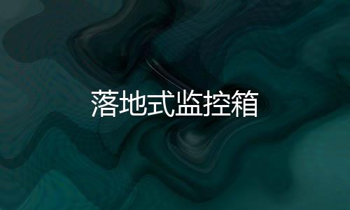 落地式監(jiān)控箱