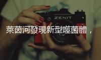萊茵河發現新型噬菌體，有望對付抗藥性極強的超級細菌？