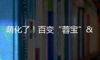 萌化了！百變“蓉寶” 時尚來襲