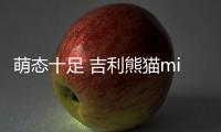 萌態十足 吉利熊貓mini高清官圖曝光