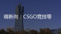 萌新向：CSGO競技等級解讀