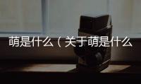 萌是什么（關于萌是什么的基本情況說明介紹）