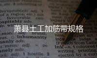 蕭縣土工加筋帶規格