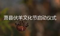 蕭縣伏羊文化節啟動儀式推遲公告