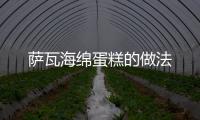薩瓦海綿蛋糕的做法