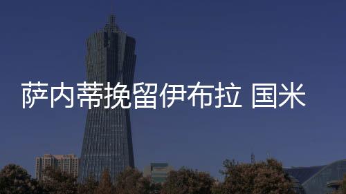 薩內蒂挽留伊布拉 國米尋槍盯上范佩西