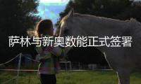 薩林與新奧數能正式簽署泛能網平臺戰略合作協議！