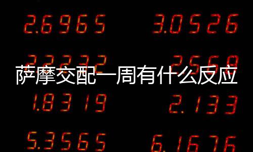 薩摩交配一周有什么反應嗎？薩摩交配一周有什么反應嘛