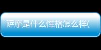 薩摩是什么性格怎么樣(養薩摩的女生是什么性格)