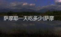 薩摩耶一天吃多少(薩摩耶一個月吃多少錢)