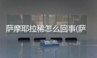 薩摩耶拉稀怎么回事(薩摩耶感冒了吃什么藥)
