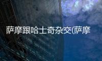 薩摩跟哈士奇雜交(薩摩和哈士奇哪個(gè)體型大)