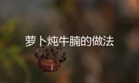 蘿卜燉牛腩的做法