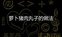 蘿卜豬肉丸子的做法