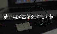 蘿卜用拼音怎么拼寫（蘿卜拼音怎么寫）