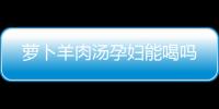 蘿卜羊肉湯孕婦能喝嗎