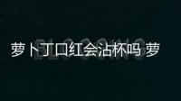 蘿卜丁口紅會沾杯嗎 蘿卜丁口紅會掉漆嗎