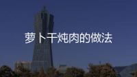 蘿卜干燉肉的做法