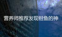 營養師推薦發現鉗魚的神奇功效，讓你健康更有力！