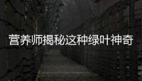 營養師揭秘這種綠葉神奇植物，居然能提高新陳代謝！