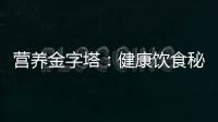 營(yíng)養(yǎng)金字塔：健康飲食秘籍大揭秘！