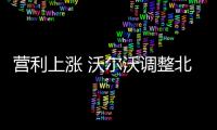 營利上漲 沃爾沃調整北美銷量預期
