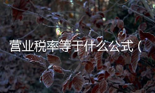 營業(yè)稅率等于什么公式（營業(yè)稅率）