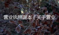 營(yíng)業(yè)執(zhí)照副本（關(guān)于營(yíng)業(yè)執(zhí)照副本的基本情況說(shuō)明介紹）