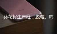 葵花籽生產(chǎn)旺，脫粒、篩分設(shè)備助力精細(xì)化加工
