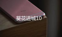 葵花進(jìn)城10