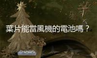 葉片能當(dāng)風(fēng)機(jī)的電池嗎？「結(jié)構(gòu)電池」是否有機(jī)會(huì)成真