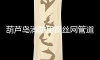葫蘆島消防用鋼絲網管道
