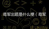 葛軍出題是什么梗（葛軍出的變態題目）