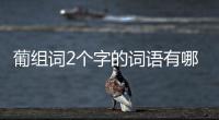 葡組詞2個字的詞語有哪些（葡組詞2個字）