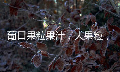 葡口果粒果汁，大果粒，高顏值，市場持續暢銷！