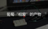 葡萄“相愛(ài)”的產(chǎn)物