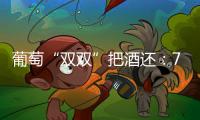 葡萄“雙雙”把酒還：7種最常見的調(diào)配型葡萄酒