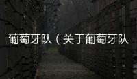 葡萄牙隊（關于葡萄牙隊的基本情況說明介紹）
