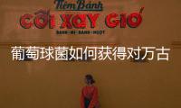 葡萄球菌如何獲得對萬古霉素抗性