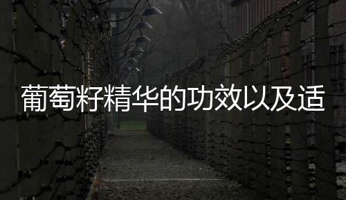 葡萄籽精華的功效以及適用人群