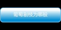 葡萄剔枝為哪般