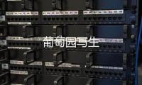 葡萄園寫生