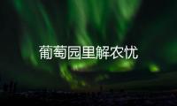 葡萄園里解農(nóng)憂