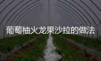 葡萄柚火龍果沙拉的做法