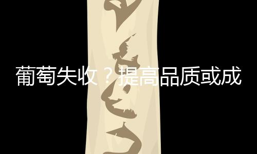 葡萄失收？提高品質(zhì)或成救命稻草
