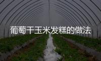 葡萄干玉米發糕的做法